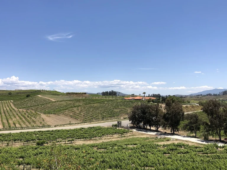 Lumiere Winery, a dog-friendly restaurant in Temecula, California