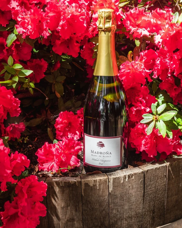 Madroña Vineyards, Camino