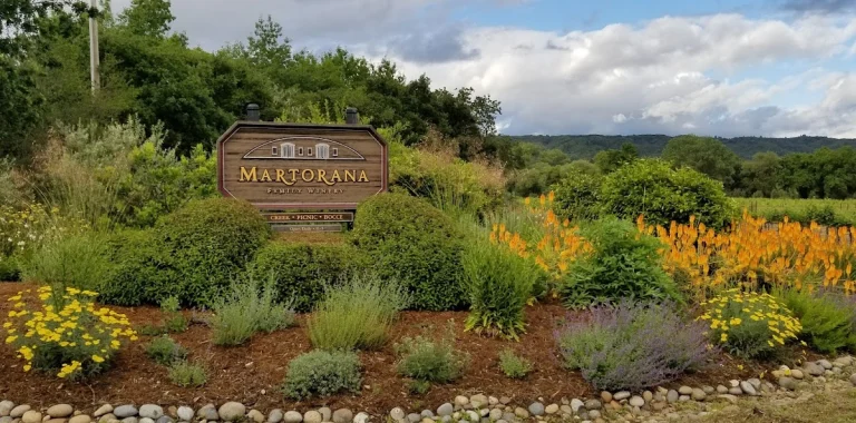 Martorana Family Winery, a dog-friendly winery in Healdsburg, California