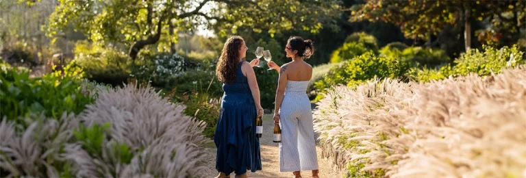 Matanzas Creek Winery, a dog-friendly winery in Santa Rosa, California