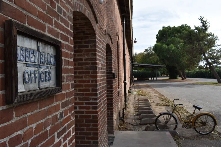 New Clairvaux Vineyard Google Places photo