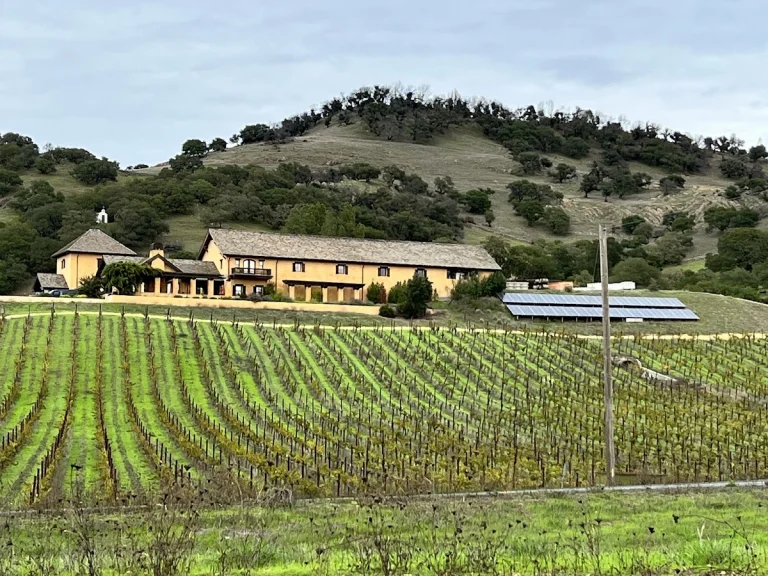 Nicholson Ranch Vineyards, a dog-friendly winery in Sonoma, California