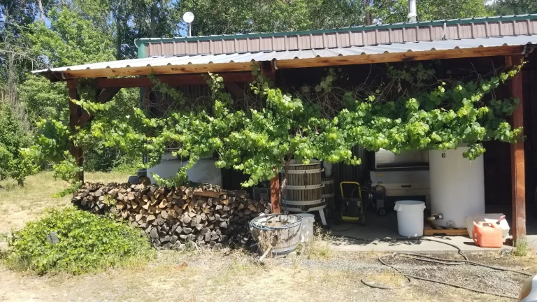 One Maple Winery Google Places photo