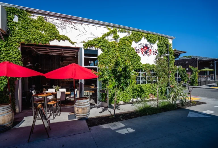 Pax Wines, a dog-friendly restaurant in Sebastopol, California