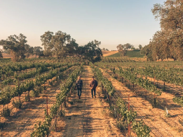 Peachy Canyon Winery, Templeton