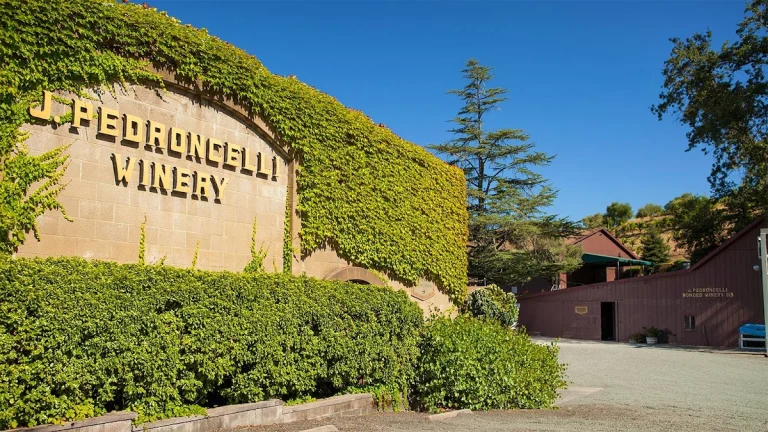 Pedroncelli Winery, a dog-friendly winery in Geyserville, California