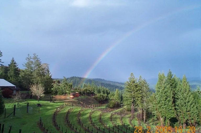 Philo Ridge Vineyards, Boonville