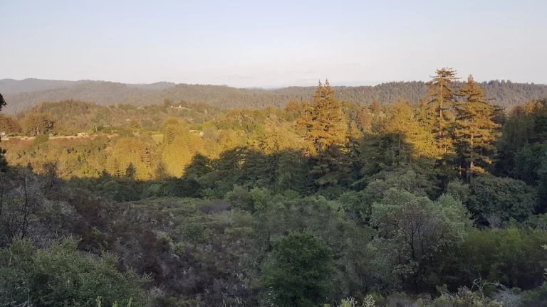 Poetic Cellars, a dog-friendly winery in Soquel, California