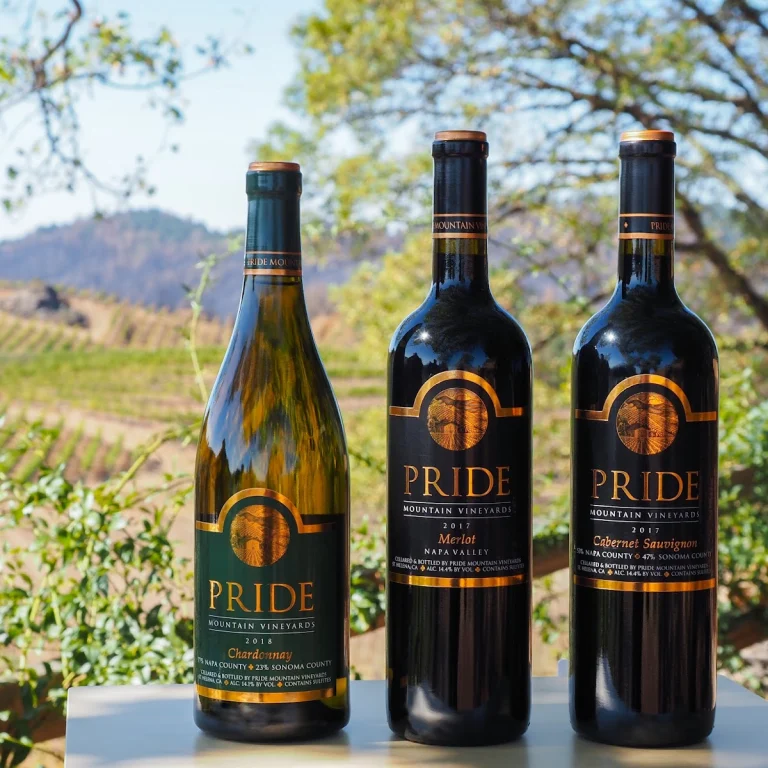 Pride Mountain Vineyards, a dog-friendly winery in St. Helena, California