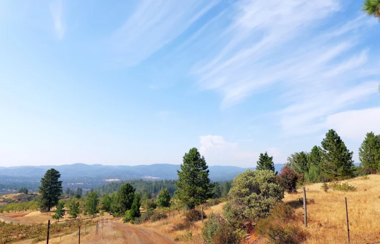 Renaissance Winery, a dog-friendly winery in Oregon House, California