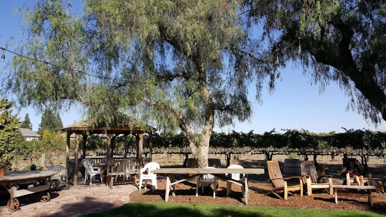 Retzlaff Vineyards, a dog-friendly restaurant in Livermore, California