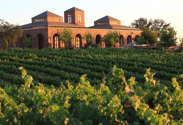 Robert Hall Winery, a dog-friendly winery in Paso Robles, California