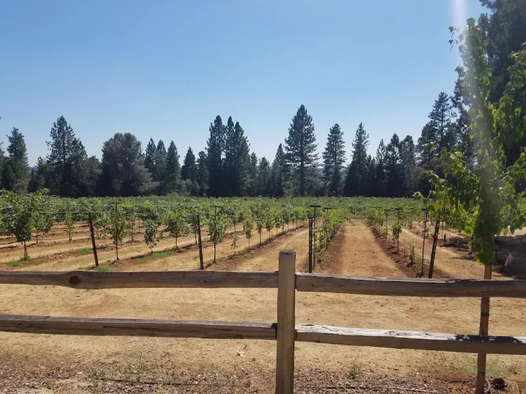 Rucksack Cellars, a dog-friendly winery in Placerville, California