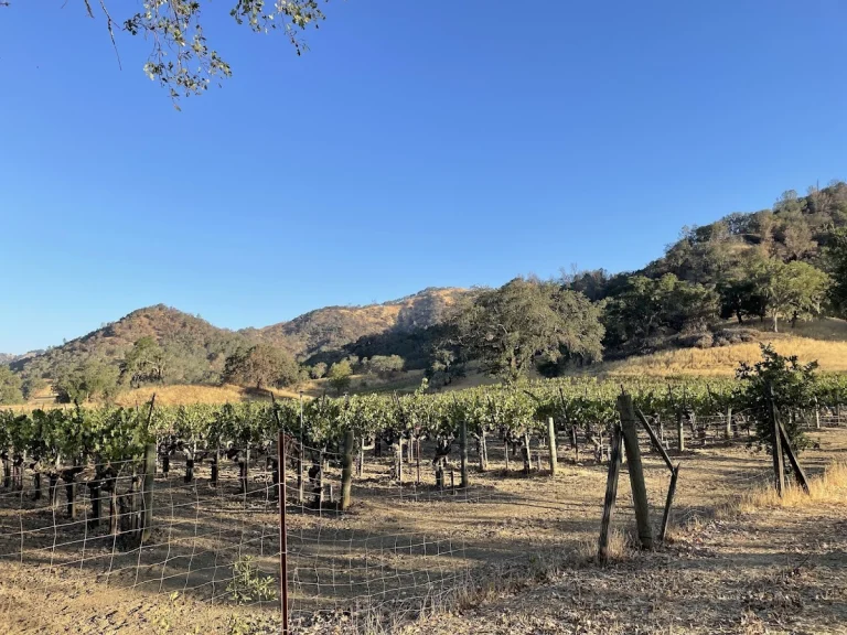 Rustridge, St. Helena