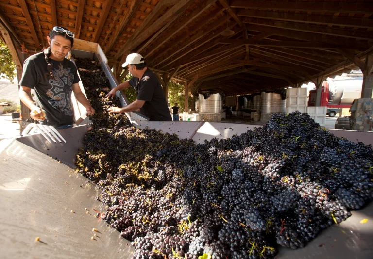 Sanford Winery Google Places photo