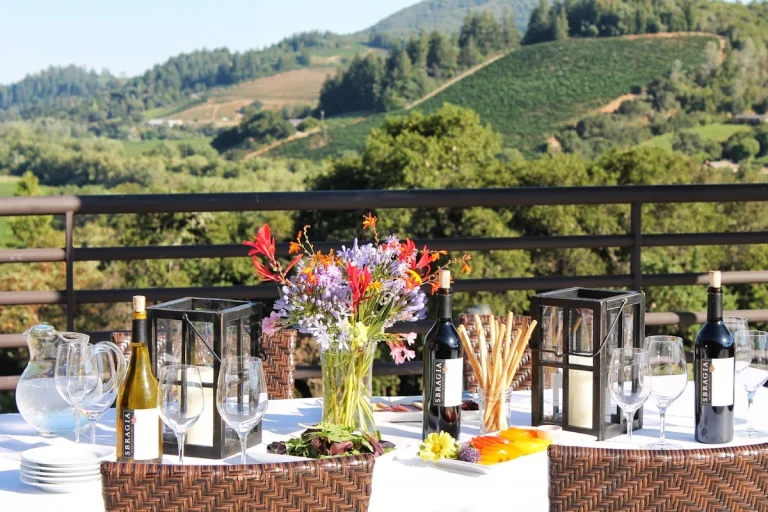 Sbragia Family Vineyards, a dog-friendly winery in Geyserville, California