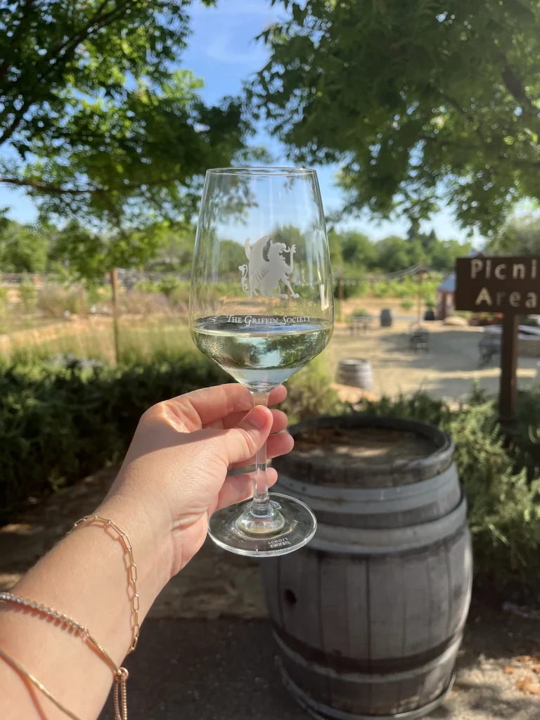 Scott Harvey Wines, a dog-friendly winery in Plymouth, California