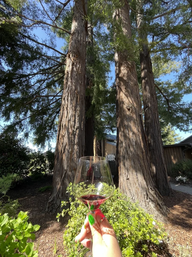 Sequoia Grove Winery, Napa