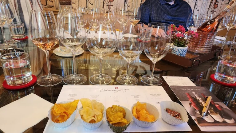 Silver Trident Winery, a dog-friendly winery in Yountville, California