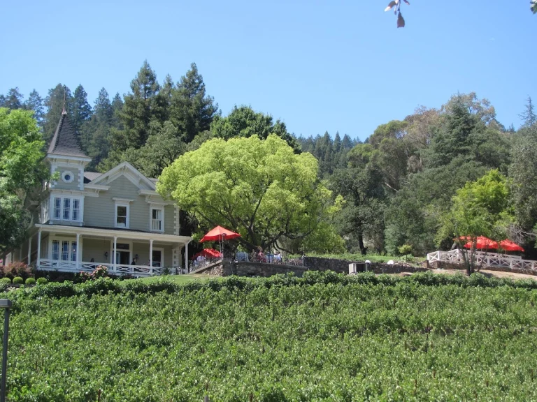 St. Clement Vineyards, St. Helena