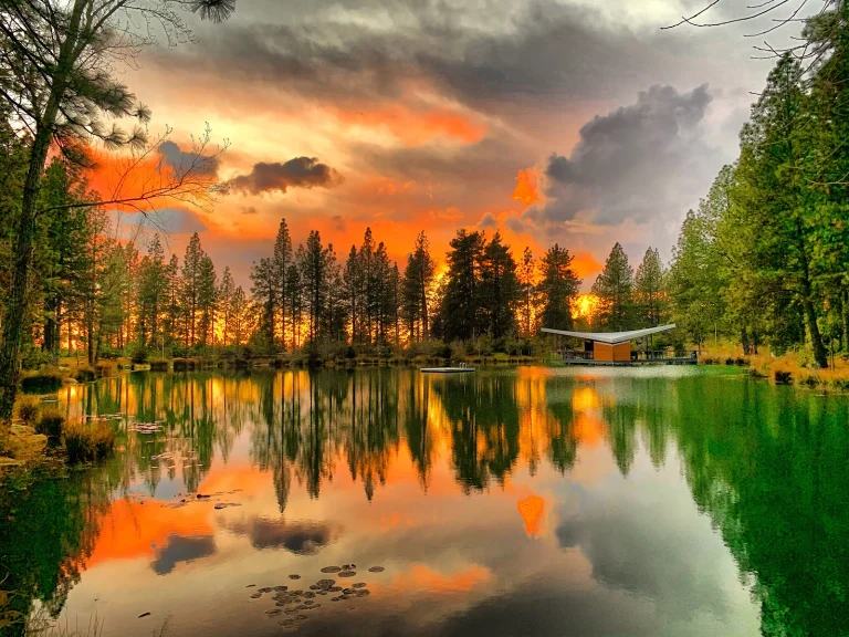 Starfield Vineyards Google Places photo