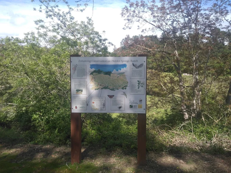 Storrs Winery Google Places photo