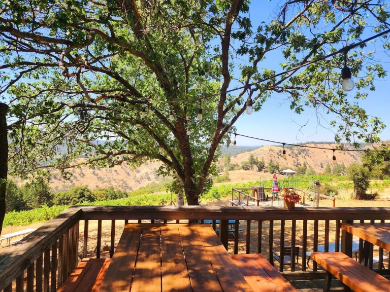 Story Vineyards, a dog-friendly winery in Plymouth, California