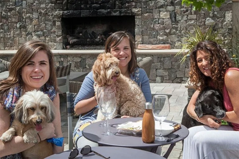 Image from Napa Humane 2017 on DogTrekker