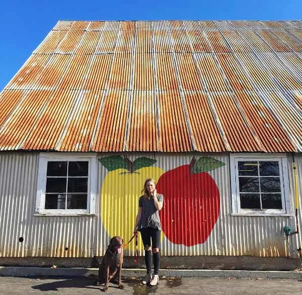 Image from Finding gold in El Dorado County on DogTrekker