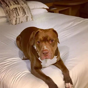 Kimpton Sawyer Hotel, Sacramento