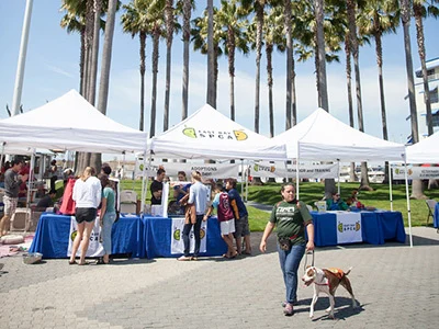 Image from There’s always something dog-centric going on in Oakland on DogTrekker