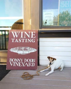 Swirl, sip and savor at Santa Cruz’s dog-friendly wineries