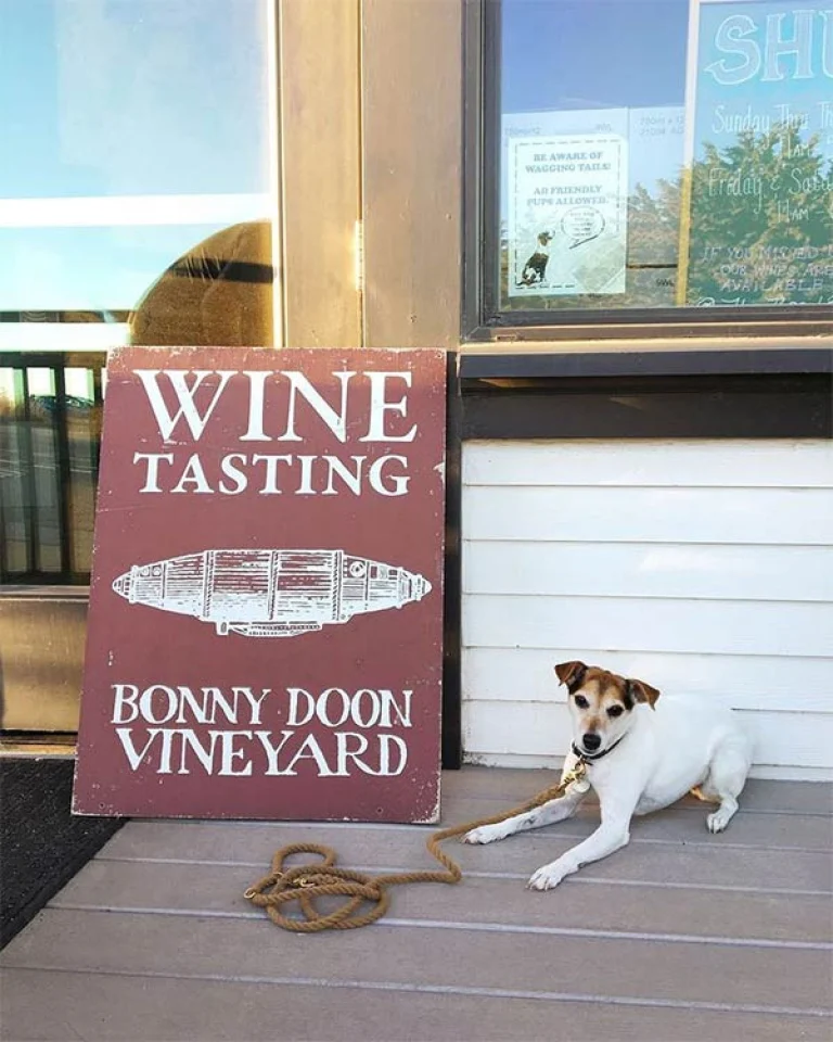 Image from Swirl, sip and savor at Santa Cruz’s dog-friendly wineries on DogTrekker