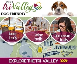 Image from Tri-valley: trails to treats on DogTrekker