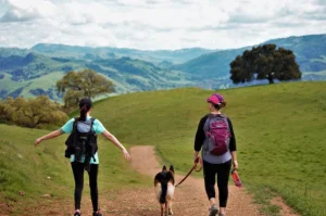 Tri-Valley – open space and wine country for your dog