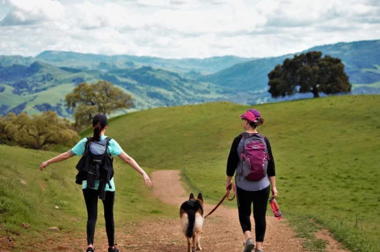 Image from Tri-Valley - open space and wine country for your dog on DogTrekker