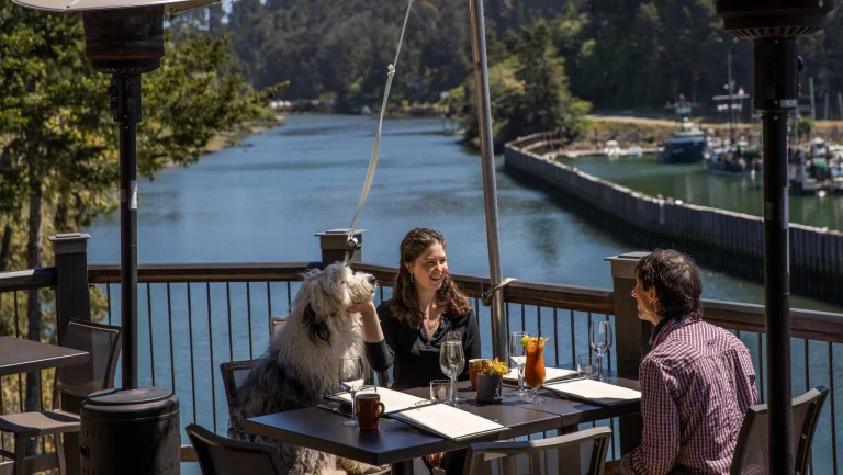 Image from Paws for dinner on the patio on DogTrekker