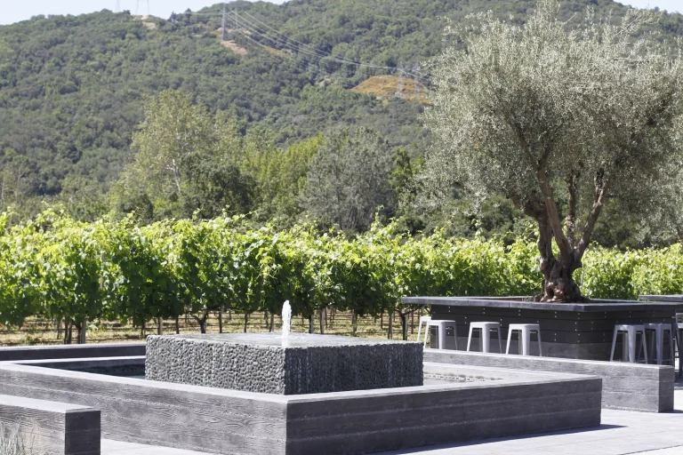 Sycamore Creek Vineyards