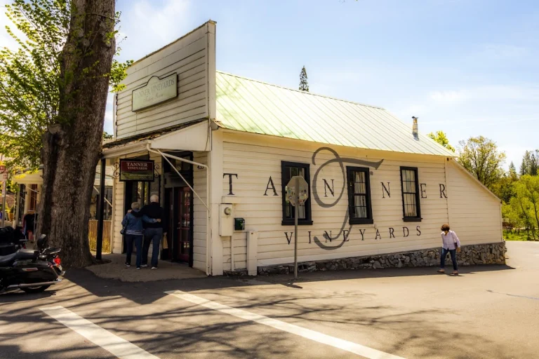 Tanner Vineyards, a dog-friendly winery in Murphys, California