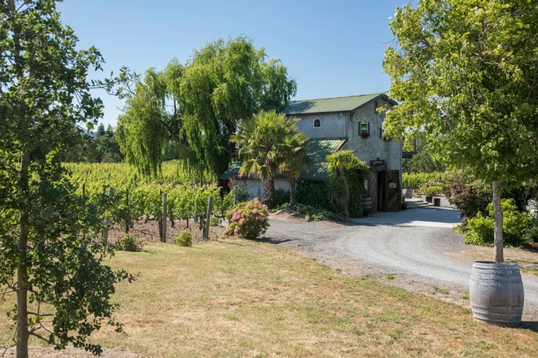 Tara Bella Winery & Vineyards, a dog-friendly winery in Santa Rosa, California