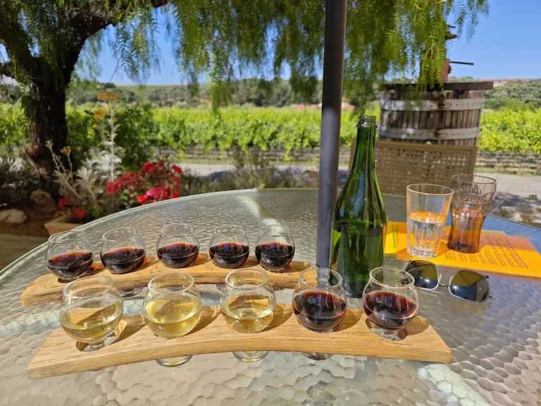 Tenuta Winery, a dog-friendly restaurant in Livermore, California