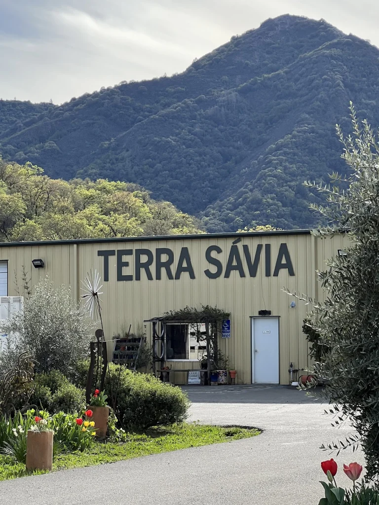 Terra Sávia Winery & Olive, Hopland