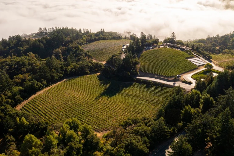 Thomas Fogarty Winery, a dog-friendly winery in Woodside, California