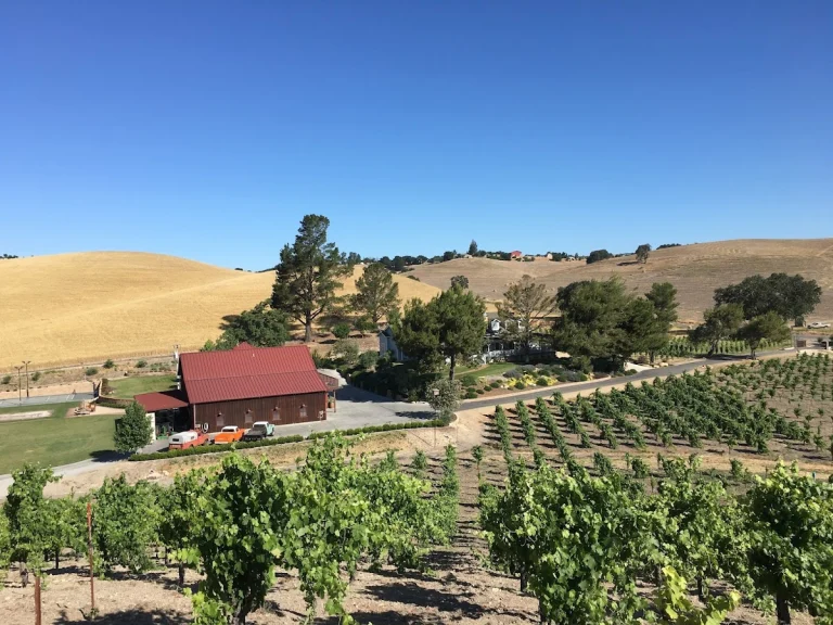 Venteux Vineyards, a dog-friendly winery in Templeton, California