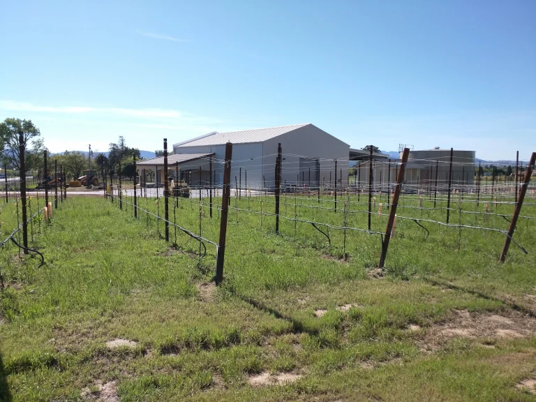 Verde Vineyards Google Places photo