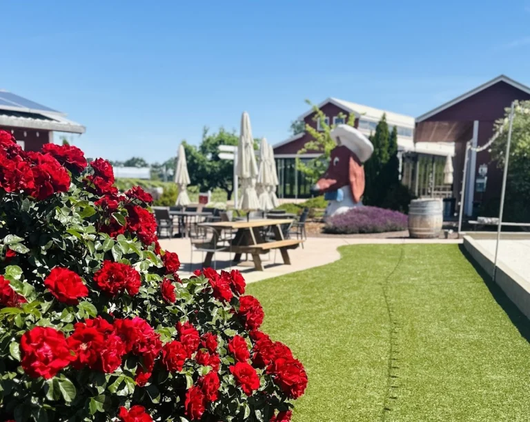 Vino Noceto Winery, a dog-friendly winery in Plymouth, California