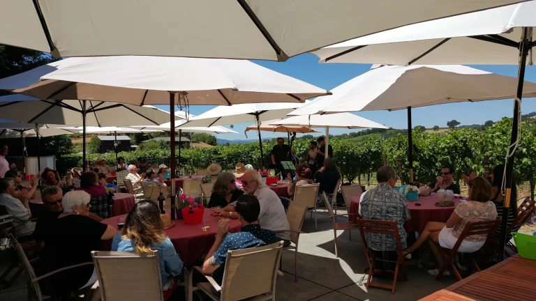 Viszlay Vineyards Google Places photo