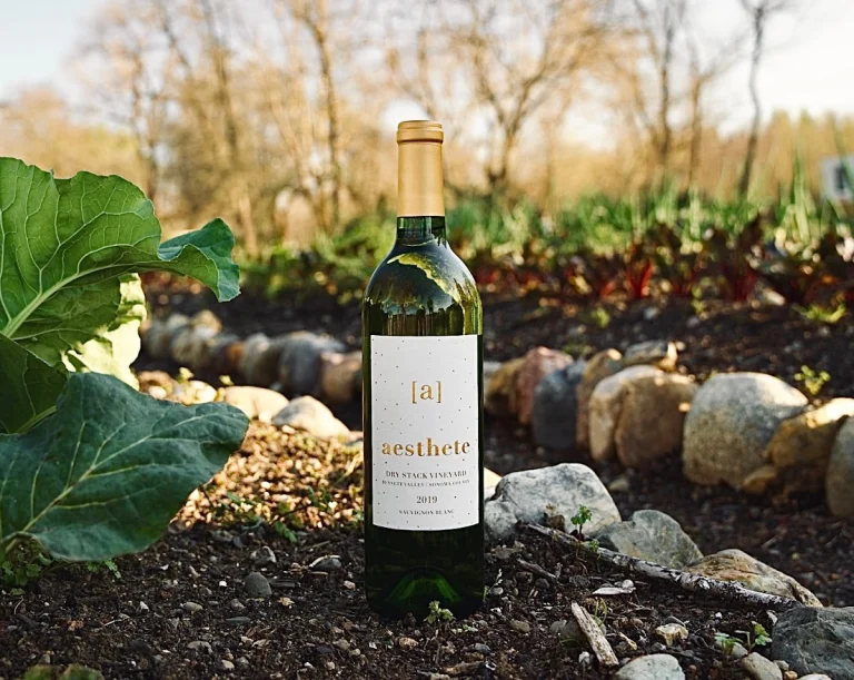 VML Winery, a dog-friendly winery in Healdsburg, California