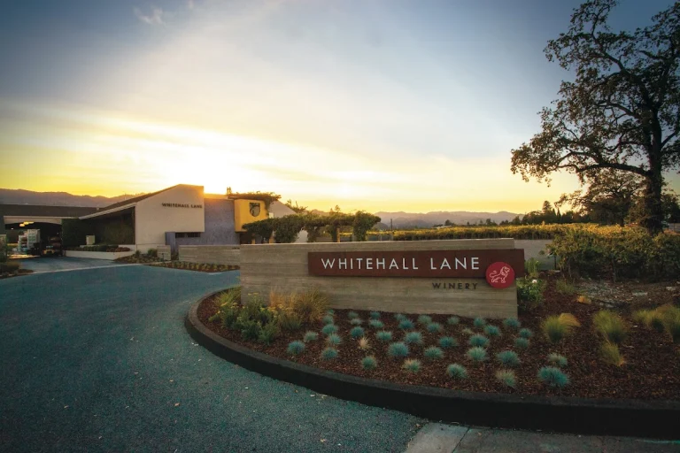 Whitehall Lane Winery, a dog-friendly winery in St. Helena, California