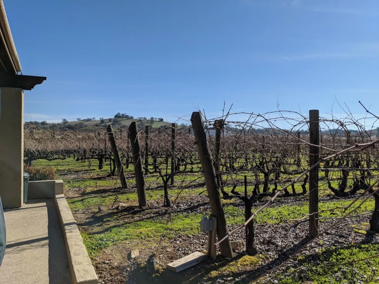Wilderotter Vineyard, Plymouth